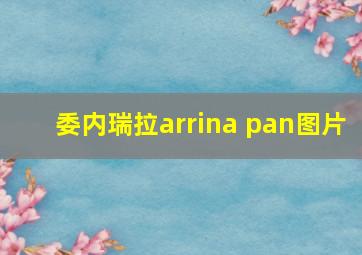 委内瑞拉arrina pan图片